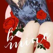 ヒメ日記 2025/06/14 04:01 投稿 めぐ 若葉