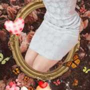 ヒメ日記 2025/08/11 03:55 投稿 めぐ 若葉