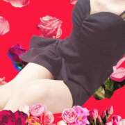 ヒメ日記 2025/09/02 04:15 投稿 めぐ 若葉