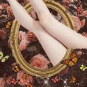 ヒメ日記 2025/10/11 04:00 投稿 めぐ 若葉