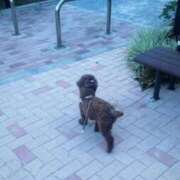 ヒメ日記 2025/09/09 12:23 投稿 あや 大塚デリヘル倶楽部