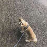 ヒメ日記 2025/10/03 10:23 投稿 あや 大塚デリヘル倶楽部