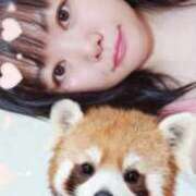 ヒメ日記 2025/11/24 15:39 投稿 ありん 広島サンキュー