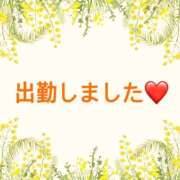 ヒメ日記 2025/02/28 12:13 投稿 あずさ 美妻隊