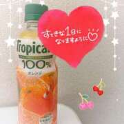 ヒメ日記 2025/03/02 11:30 投稿 あずさ 美妻隊