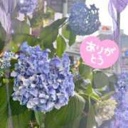 ヒメ日記 2025/06/17 20:13 投稿 あずさ 美妻隊