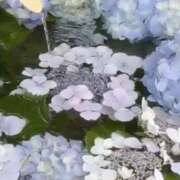 ヒメ日記 2025/06/19 17:08 投稿 あずさ 美妻隊