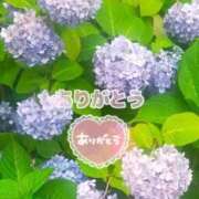 ヒメ日記 2026/06/15 22:34 投稿 あずさ 美妻隊