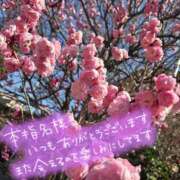 ヒメ日記 2025/03/03 23:15 投稿 華 美妻隊