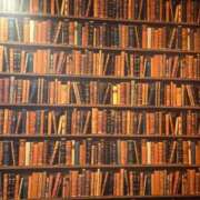 ヒメ日記 2025/03/22 22:07 投稿 華 美妻隊