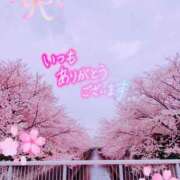 ヒメ日記 2025/03/29 13:52 投稿 華 美妻隊