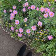 ヒメ日記 2025/04/12 16:30 投稿 華 美妻隊