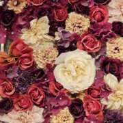 華 新たな挑戦🌸 美妻隊