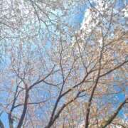 ヒメ日記 2025/04/05 12:18 投稿 とも 厚木人妻城