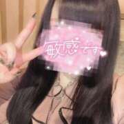 ヒメ日記 2025/04/12 12:18 投稿 とも 厚木人妻城