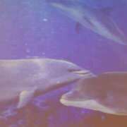 ヒメ日記 2025/06/21 00:29 投稿 とも 厚木人妻城