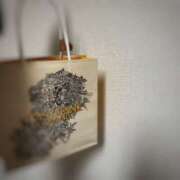 ヒメ日記 2025/02/11 04:30 投稿 るりか 横浜ミセスアロマ（ユメオト）