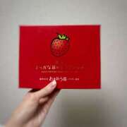 ヒメ日記 2025/11/30 11:02 投稿 るりか 横浜ミセスアロマ（ユメオト）