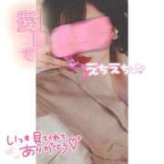 ヒメ日記 2025/04/16 08:15 投稿 らいか おっぱい東京
