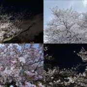 ヒメ日記 2025/04/10 20:12 投稿 まりあ クラブアリア -CLUB ARIA-