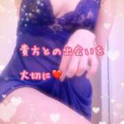 ヒメ日記 2025/01/31 10:00 投稿 なおみ 金瓶梅-きんぺいぱい-