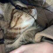 ヒメ日記 2025/05/03 10:01 投稿 なおみ 金瓶梅-きんぺいぱい-