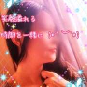 ヒメ日記 2025/05/28 16:41 投稿 なおみ 金瓶梅-きんぺいぱい-