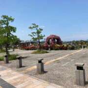 ヒメ日記 2025/05/31 14:39 投稿 なおみ 金瓶梅-きんぺいぱい-