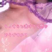 ヒメ日記 2025/10/14 12:02 投稿 なおみ 金瓶梅-きんぺいぱい-