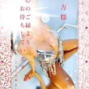 ヒメ日記 2024/12/14 10:20 投稿 ミカミ PLATINUM