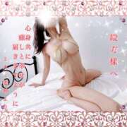 ヒメ日記 2024/12/17 19:44 投稿 ミカミ PLATINUM