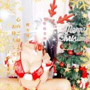 ヒメ日記 2024/12/24 17:03 投稿 ミカミ PLATINUM