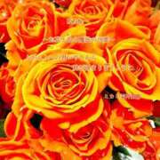 ヒメ日記 2025/01/31 18:11 投稿 ミカミ PLATINUM