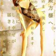 ヒメ日記 2025/02/11 20:49 投稿 ミカミ PLATINUM