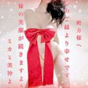 ヒメ日記 2025/02/17 23:59 投稿 ミカミ PLATINUM