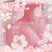 ヒメ日記 2025/04/11 19:52 投稿 ミカミ PLATINUM