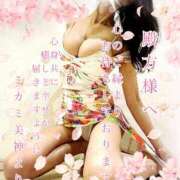 ヒメ日記 2025/04/12 09:55 投稿 ミカミ PLATINUM