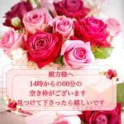 ヒメ日記 2025/04/12 10:19 投稿 ミカミ PLATINUM