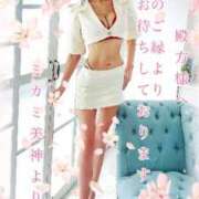 ヒメ日記 2025/04/29 08:59 投稿 ミカミ PLATINUM