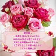 ヒメ日記 2025/08/24 00:27 投稿 ミカミ PLATINUM