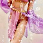 ヒメ日記 2025/10/14 17:49 投稿 ミカミ PLATINUM