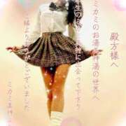 ヒメ日記 2025/11/11 22:50 投稿 ミカミ PLATINUM