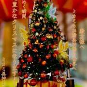 ヒメ日記 2025/12/25 17:41 投稿 ミカミ PLATINUM