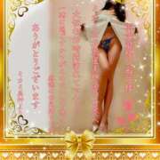 ミカミ ?御礼日記ミカミ美神より? PLATINUM