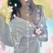 ミカミ ?帯結美神? PLATINUM