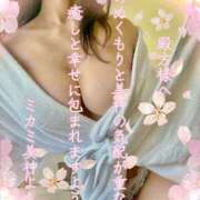 ミカミ ?? PLATINUM