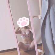 ヒメ日記 2025/01/20 14:00 投稿 しの プロフィール加古川