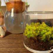 ヒメ日記 2025/04/03 21:30 投稿 大空　あかね PLATINA R-30（すすきの）