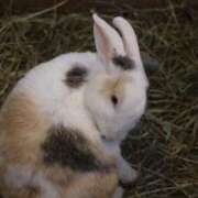 ヒメ日記 2025/06/06 10:29 投稿 大空　あかね PLATINA R-30（すすきの）