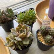 ヒメ日記 2025/06/25 08:28 投稿 大空　あかね PLATINA R-30（すすきの）